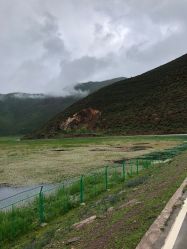 -纳帕海依拉草原