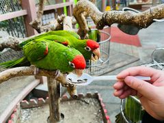 -南宫五洲植物乐园