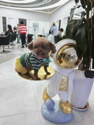 -ON STAR SALON