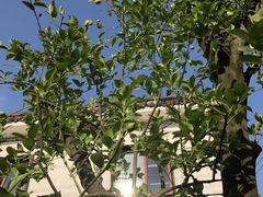 -悦哉·派对·草坪婚礼·围炉煮茶(三圣乡店)