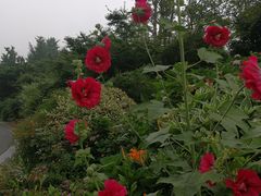 -杭州城北体育公园