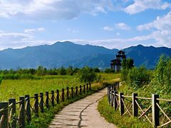 -野鸭湖国家湿地公园