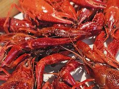 -巴厘龙虾·榜首油焖大虾(音乐学院·沿江酒馆店)