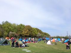 -昆山城市生态森林公园