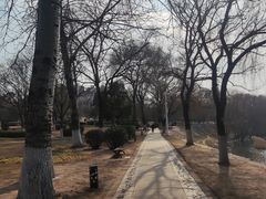 -沙澧河风景区