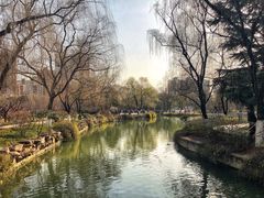 -宝鸡植物园