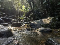 -梧桐山风景名胜区