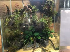 -龟与熊猫宠物公园(南坪店)