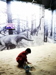 -恐龙探索乐园(磁器口店)