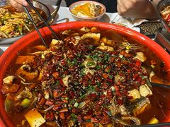 -阳光天地