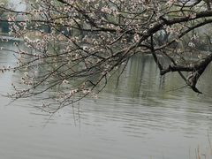 -颐和园
