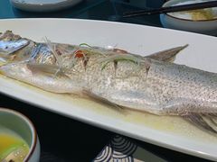 -苏帮袁Sue Cuisine(将台店)