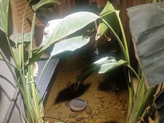 -邈墨茶馆(凤起路店)