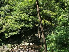 -宁波五龙潭景区