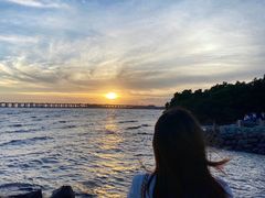 -宝安西湾红树林湿地公园