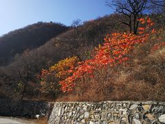 -水峪民俗村