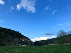 -武陵山森林公园