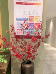 -雪绒花月子会所(万安店)