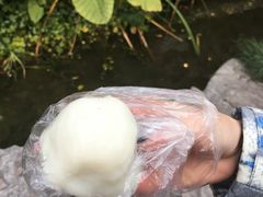 -老七宝热气羊肉馆