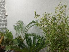 -大清花饺子(山庄店)