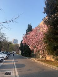 点击看大图 -北京明德医院