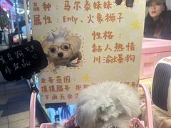 -龙湖重庆时代天街