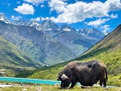 -折多山