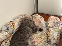 -华记煲仔华·煲仔饭(三元里万科里店)