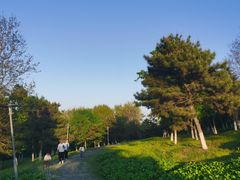 -莫子山公园