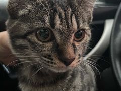 -安安宠医·安宠宠物医院