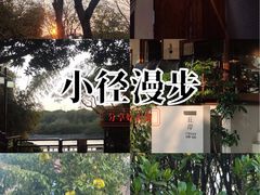 -白鹭洲公园