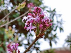 -白塘生态植物园