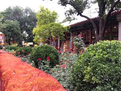-白家大院·王府宫廷菜(苏州街店)