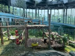 -大连森林动物园