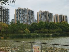 -南翔镇银翔湖公园