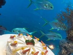 -瑞德姆美人鱼海底演艺主题餐厅(亚龙湾店)