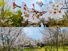 -东钱湖旅游度假区