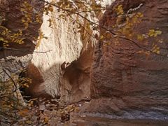 -天山神秘大峡谷