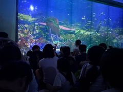 -海合安成都极地海洋公园