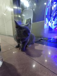 -BBVR团建聚会体验馆·亲子DIY手工