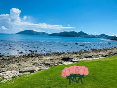 -日落吧·海景咖啡厅·餐酒吧·鸡尾酒·下午茶·乐队表演·浪漫夕阳·三亚文华东方酒店