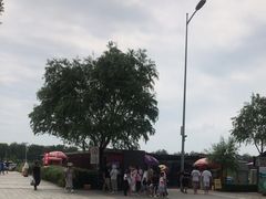 -天津妈祖文化园