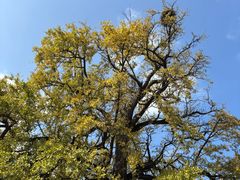 -中国计量大学(西校区)