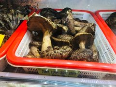 -菌海森林·非遗野生菌火锅(西山区滇池路摩根道店)