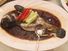 -万宝海鲜舫(劳动公园店)