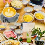 可以边吃边撸狗的柴犬咖啡厅