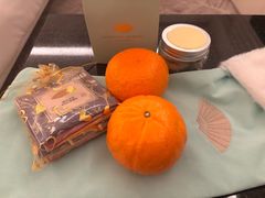 -新加坡文华东方酒店