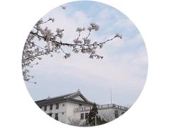 -武汉大学-樱园