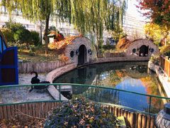 -南宫五洲植物乐园