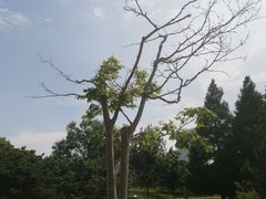 -白塘生态植物园